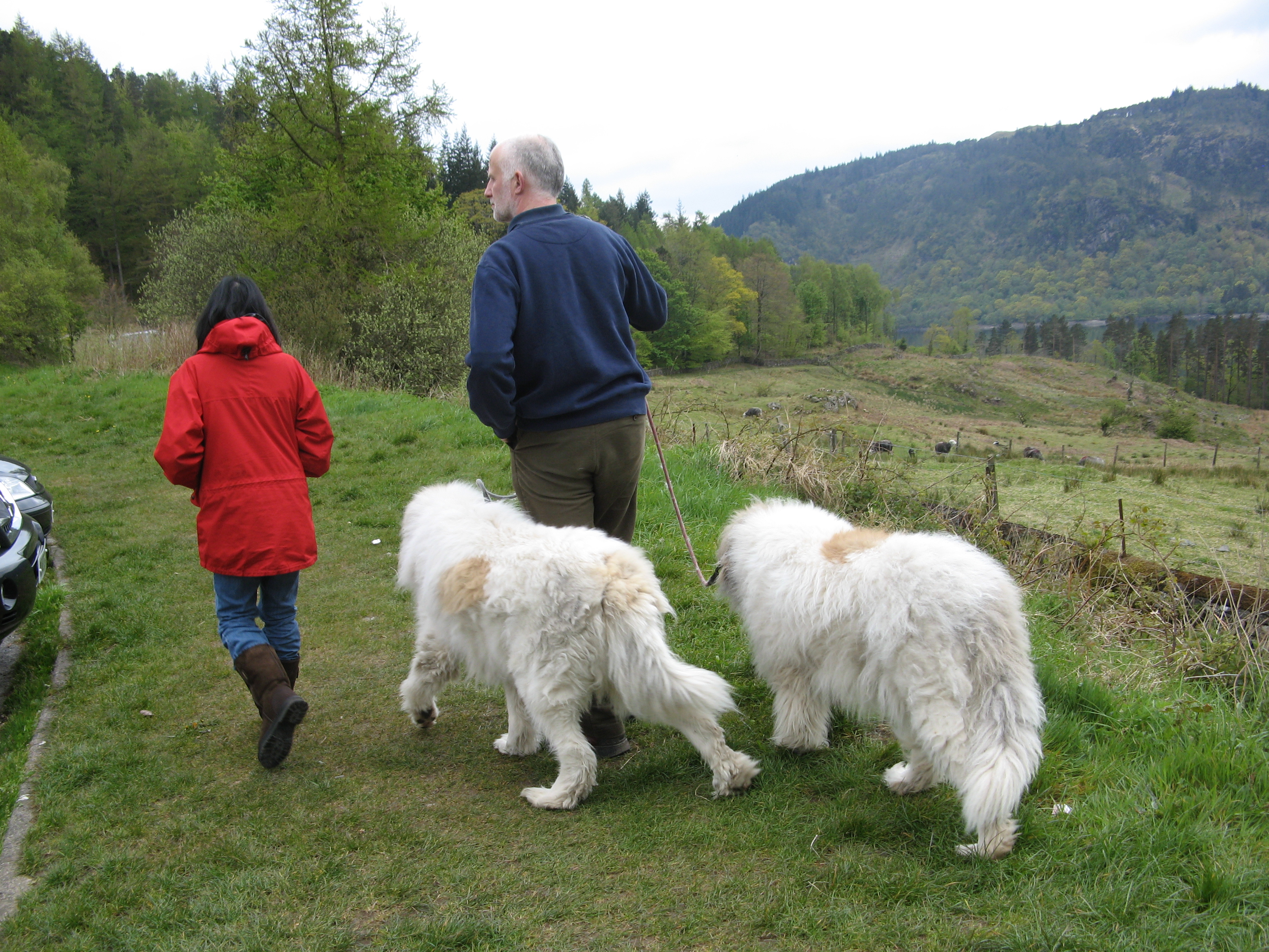 Bowness bed and breakfast