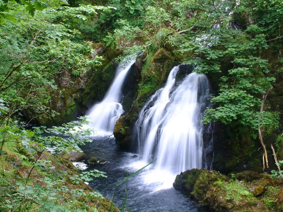 A photo to whet one's appetite for exploring the English Lakes. This is Colwith Force, near Ambleside and not far from Blenheim Lodge. (Photo courtesy of www.visitcumbria.com/amb/colwith-force.htm.)