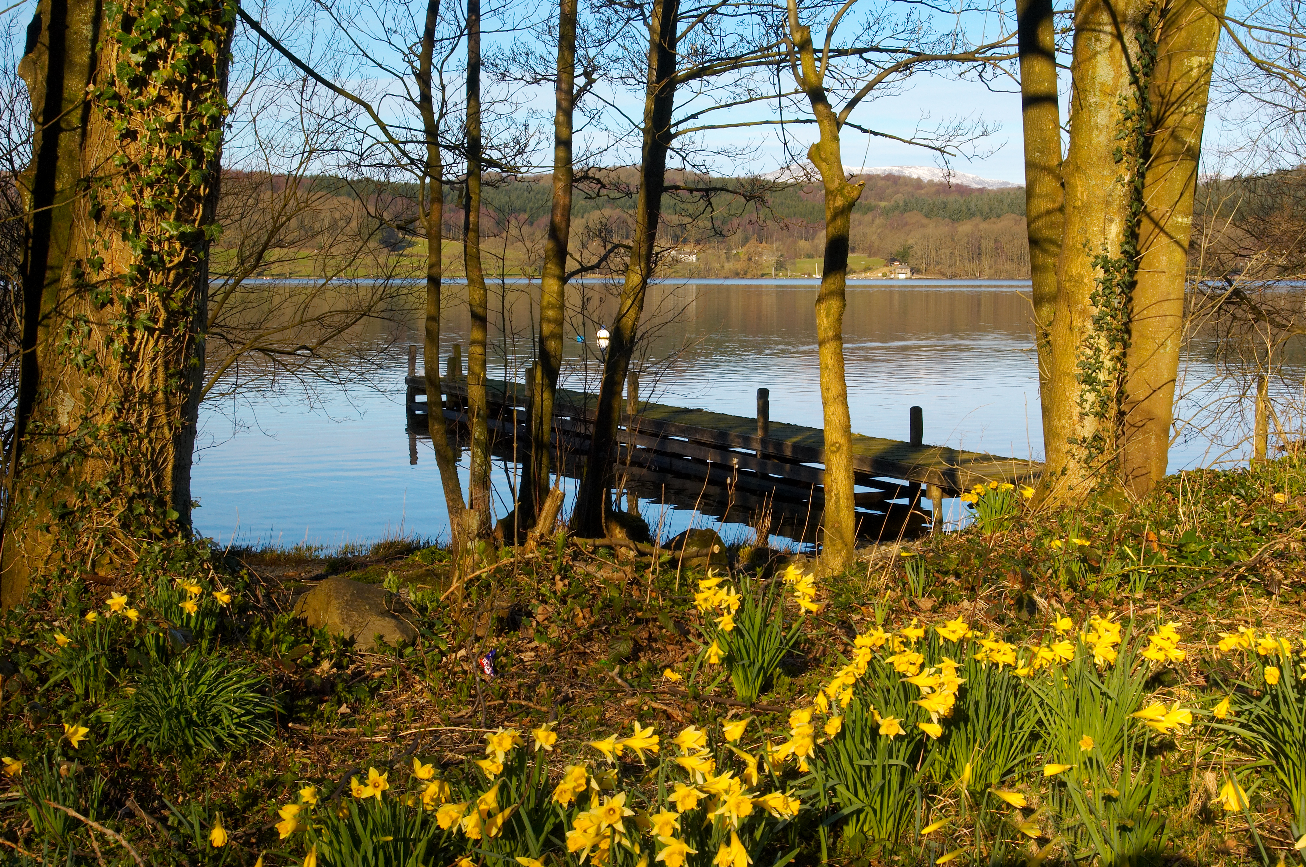 Escape to beautiful scenery and tranquil waters this Easter time. This is a photo of Lake Windermere in Springtime. The Lake is just 5-7 minutes' walk from our door.