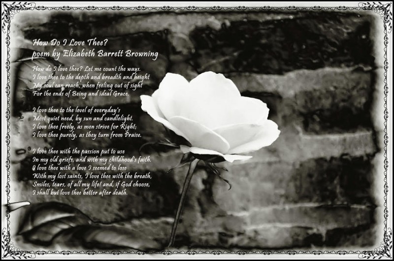 Elizabeth Barrett Browning (1806-1861) wrote 'Sonnets from the Portuguese' and many other works. The wife of Robert Browning, she enjoyed a profound and enduring romantic relationship with her husband. (Photo courtesy of 'http://fineartamerica.com/featured/how-do-i-love-thee-bill-cannon.html.)