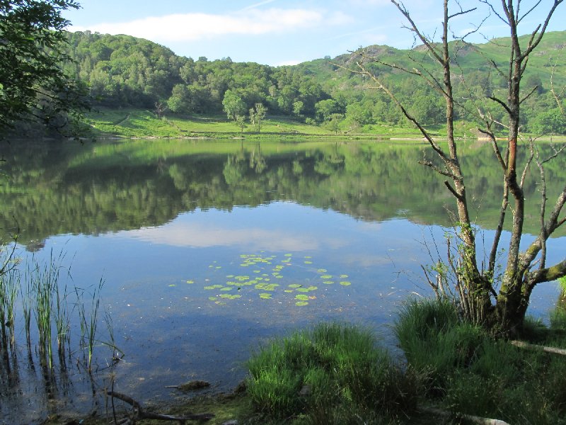 'Rydal, peaceful at 9 this morning,' 18th June 2014. Quote and photo courtesy of www.lakelandcam.co.uk.