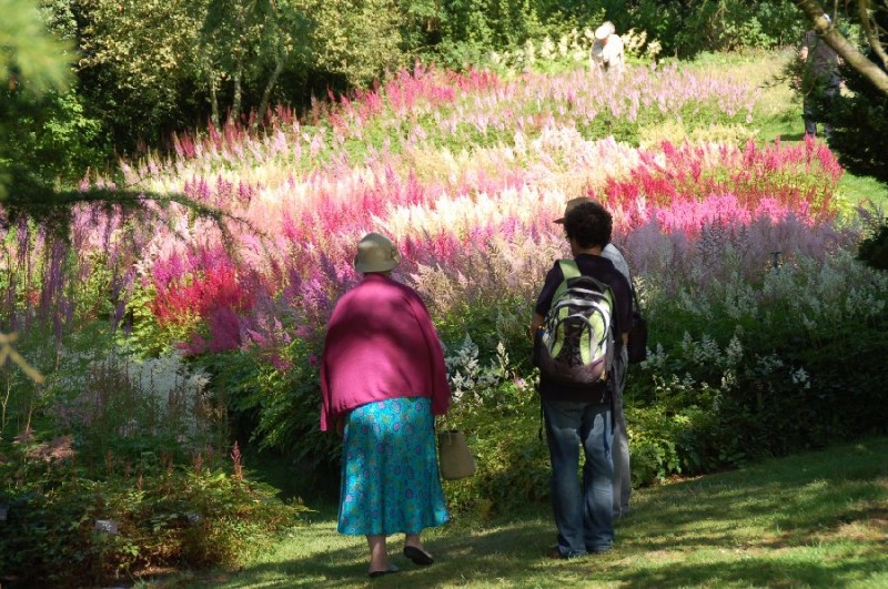 Tony Richards has captured well some rather glorious summer colour at Holehird Gardens, about a 5-minute ride from us at Blenheim Lodge.