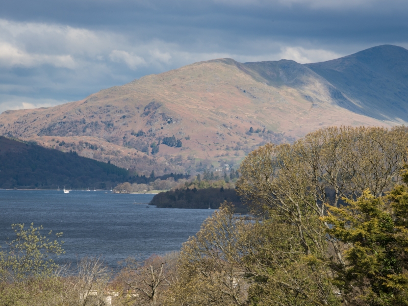 The Fairfield