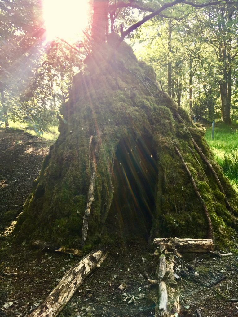 Sun rays protect a tree house